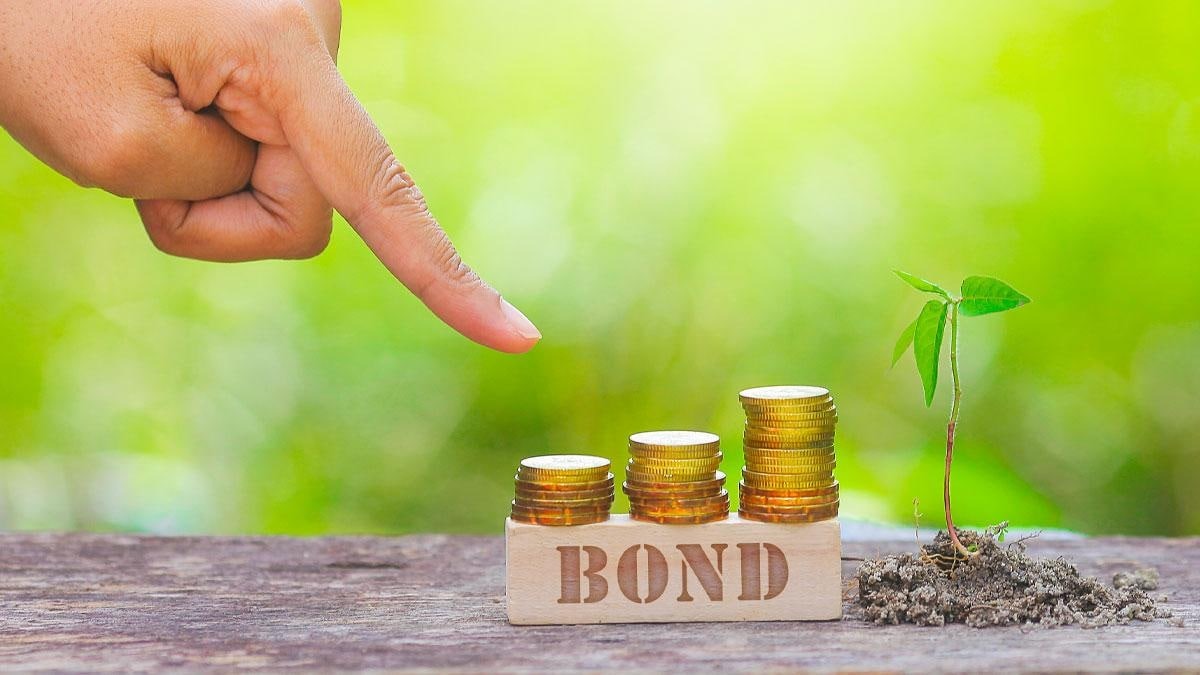 How NRIs Can Now Invest in Sovereign Green Bonds